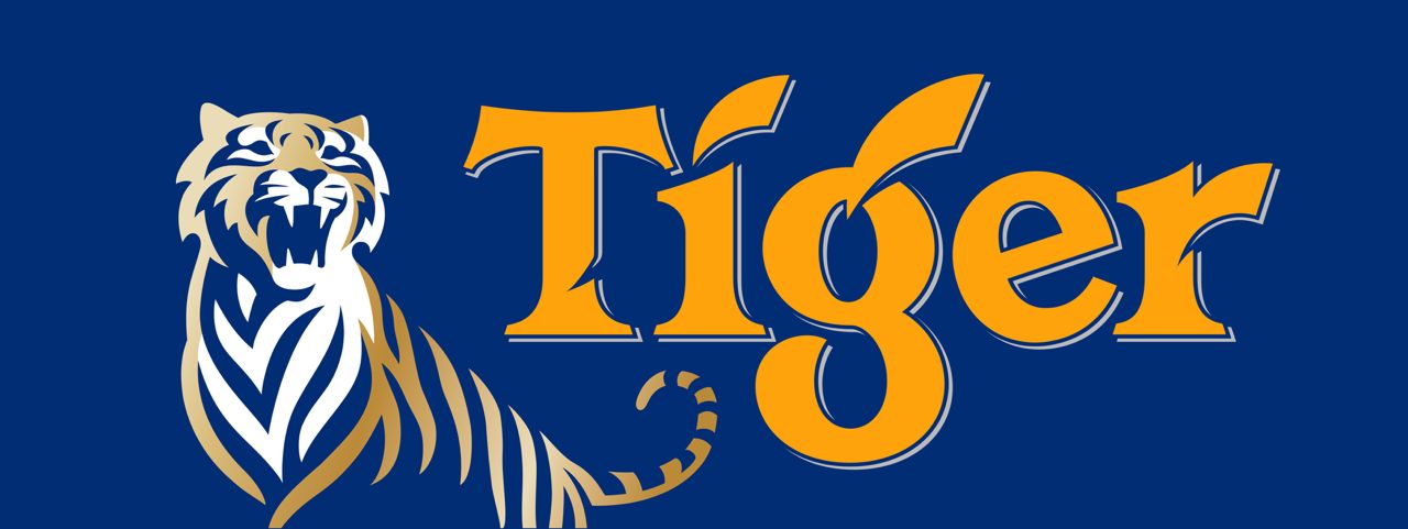 Nigerian Marketing Awards 8 Tiger